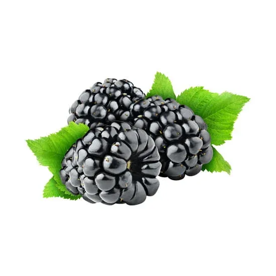 Blackberry Flavour Concentrate