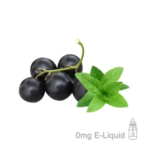 Blackcurrant Menthol E-Liquid
