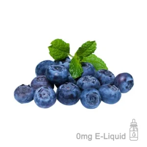 Blueberry E-Liquid