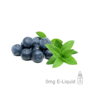 Blueberry Menthol E-Liquid