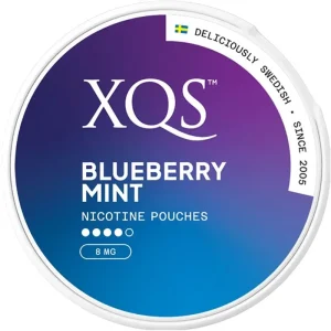 Blueberry mint XQS nicotine pouches 20 pack