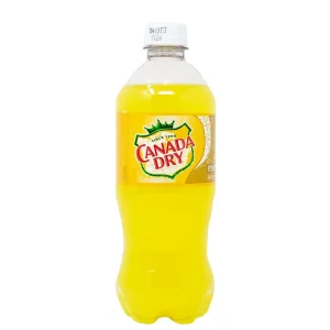 Canada Dry Pineapple 591ml
