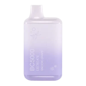 EB Vape BC5000 Snoow Grape
