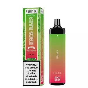 Esco Bars Mega x Fruitia Mesh 5000 Puffs Disposable - Kiwi Pom