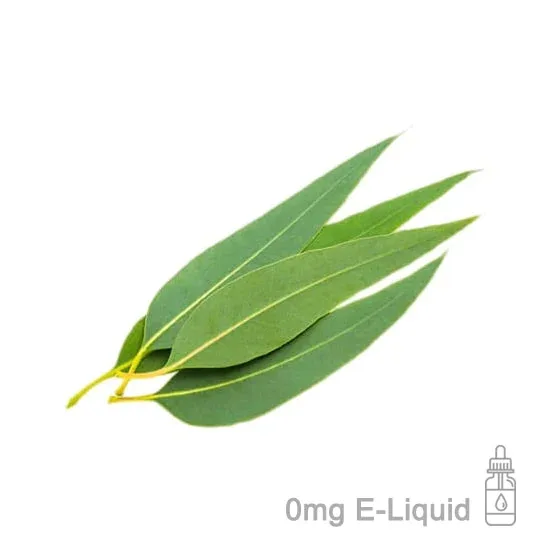 Eucalyptus E-Liquid