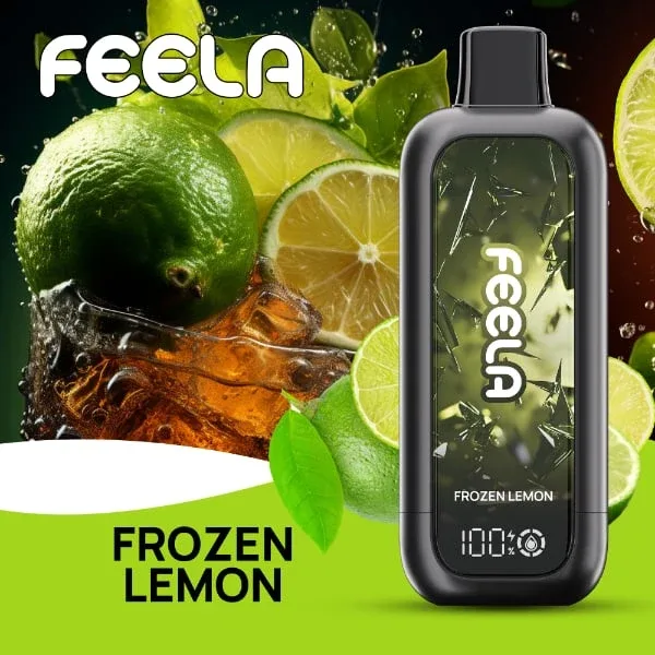 FEELA NIC 40K Disposable Vape - Image 2