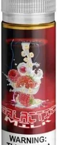 Galactic Milk (cereal bar w/ yogurt + berries) | Transistor