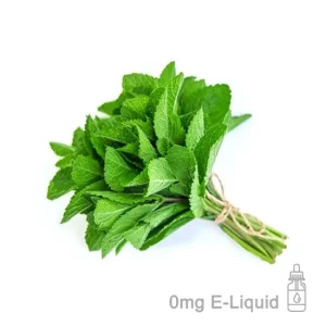 Garden Mint E-Liquid