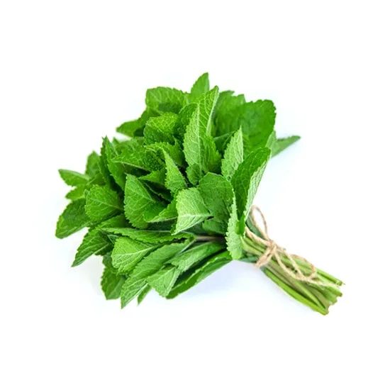 Garden Mint Flavour Concentrate
