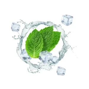 Ice Mint Flavour Concentrate