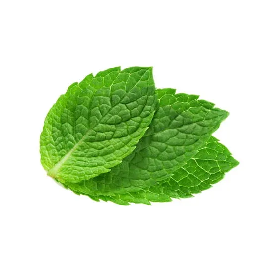 Mint Flavour Concentrate