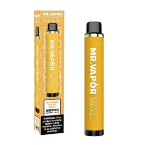 Mr. Vapor Maxx Disposable - 5% 3000 Puffs Nicotine Disposable