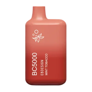 EB Vape BC5000 Mint Tobacco