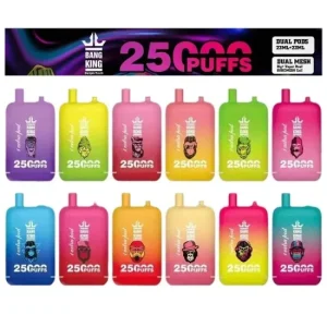 BANG KING 25000 Puffs Bulk Buy Rechargeable Disposable Vapes Wholesale