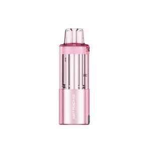 FOGER SWITCH PRO 30,000 PUFFS DISPOSABLE POD (JUICY PEACH ICE)