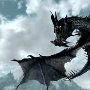 Snow Dragon