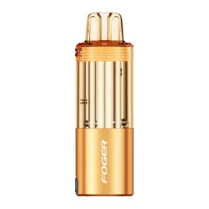 FOGER SWITCH PRO 30,000 PUFFS DISPOSABLE POD (MEXICO MANGO)