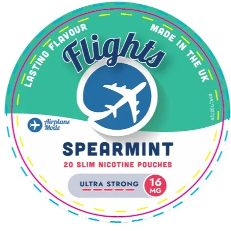 Flights Spearmint Nicotine Pouches – Tobacco-Free Nicotine (UK Made) - Image 2
