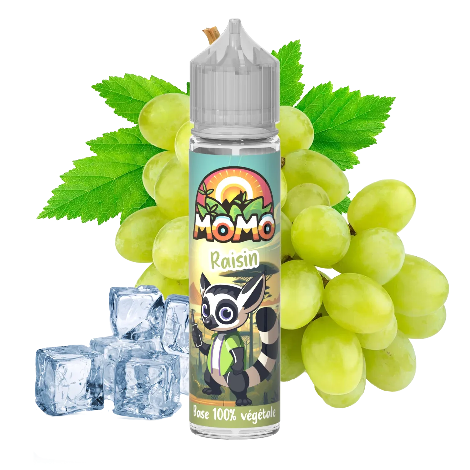 MOMO Raisin 50ml shake and vape e-liquid