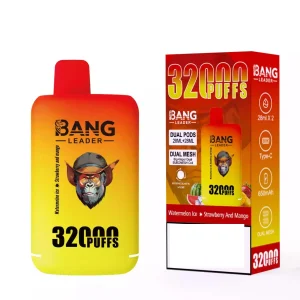 BANG LEADER 32000 Puffs Dual Tastes Bulk Buy Rechargeable Disposable Vapes Wholesale