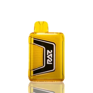 RAZ TN9000 9K Puffs Disposable Vape - 12mL