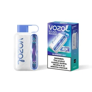 Blue Berry Mint Vozol Star 40000 | Online Vape Shop