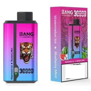 BANG LEADER 30000 Puffs Double Tastes Bulk Buy Rechargeable Disposable Vapes Wholesale