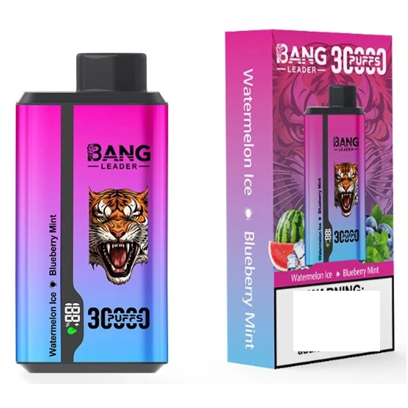 BANG LEADER 30000 Puffs Double Tastes Bulk Buy Rechargeable Disposable Vapes Wholesale