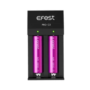 E-Fest Pro C2 Bay Charger