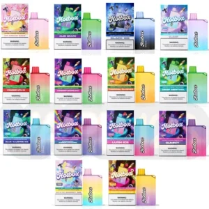 HOTBOX DISPOSABLE 5% NIC RECHARGEABLE 7500 PUFFS 16ML