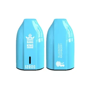 BANG KING BK12 DSK029 Disposable Vape Devices 12000 Puffs