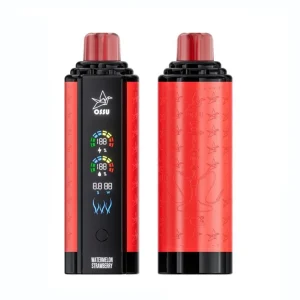 VASY OSSU 30000 Puffs Shisha Hookah Dual Mesh Full Screen Bulk Buy Rechargeable Disposable Vapes Wholesale