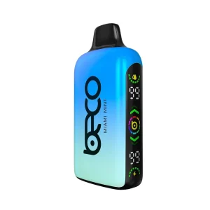 Beco Ice Mint 15000 puffs