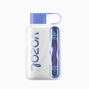 Blueberry Mint - Vozol Star 40K