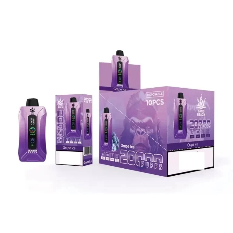 BANG BEACH 20000 Puffs Bulk Buy Rechargeable Disposable Vapes Wholesale - Image 2
