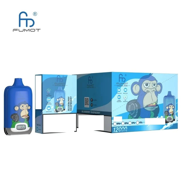 RandM DIGITAL BOX 12000 Puffs LED Display Bulk Buy Rechargeable Disposable Vape Wholesale - Image 2