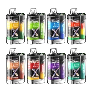 VAPGO BAR X 12000 Disposable Vape