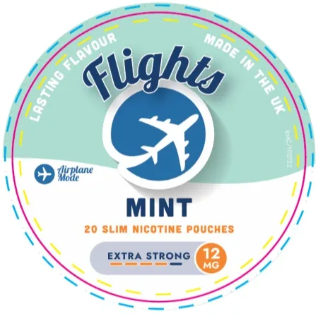 Flights Mint Nicotine Pouches – Tobacco-Free Nicotine (UK Made) - Image 2