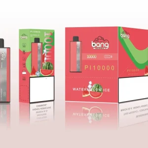 BANG PI 10000 Puffs Bulk Buy Rechargeable LED Display Disposable Vape