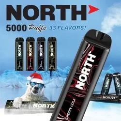 JUSTPUFF 5% NIC 6000 PUFFS 10ML DISPOSABLE VAPE - Image 2