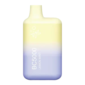 EB Vape BC5000 Lemon Mint