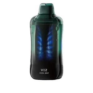 Cool Mint Lost Mary VIZ 55K Vape