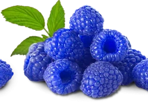 Blue Raspberry