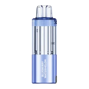 FOGER SWITCH PRO 30,000 PUFFS DISPOSABLE POD (BLUEBERRY WATERMELON)