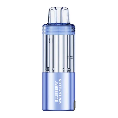 FOGER SWITCH PRO 30,000 PUFFS DISPOSABLE POD (BLUEBERRY WATERMELON)