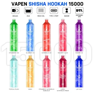 VAPEN Shisha Hookah 15000 Puffs DTL Bulk Buy Rechargeable Disposable Vapes Wholesale