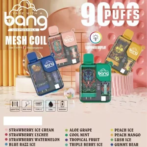 BANG BC 9000 Puffs Bulk Buy Rechargeable Disposable Vapes Wholesale