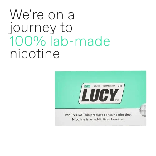 Lucy Nicotine Gum 10-Piece Blister Pack - Image 2