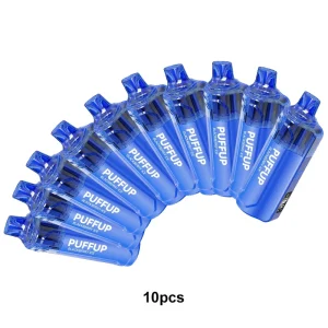 [Bundle] Puffup 25000 Disposable Vape 15ml 5%