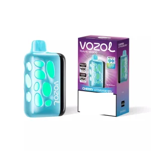 VOZOL RAVE 40000 Puffs Dual Mesh Dual Mode Digital Display Bulk Buy 40K Rechargeable Disposable Vapes Wholesale